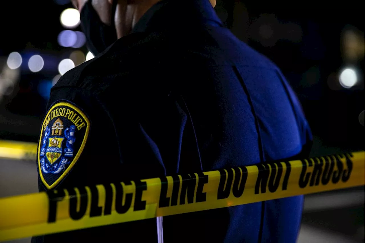 Man arrested in fatal hit-and-run in Logan Heights