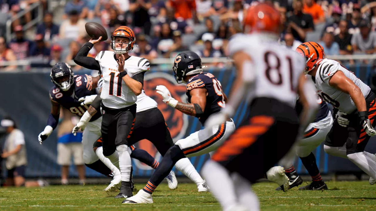 Look: Cincinnati Bengals' Snap Count Takeaways Following Loss to Chicago Bears