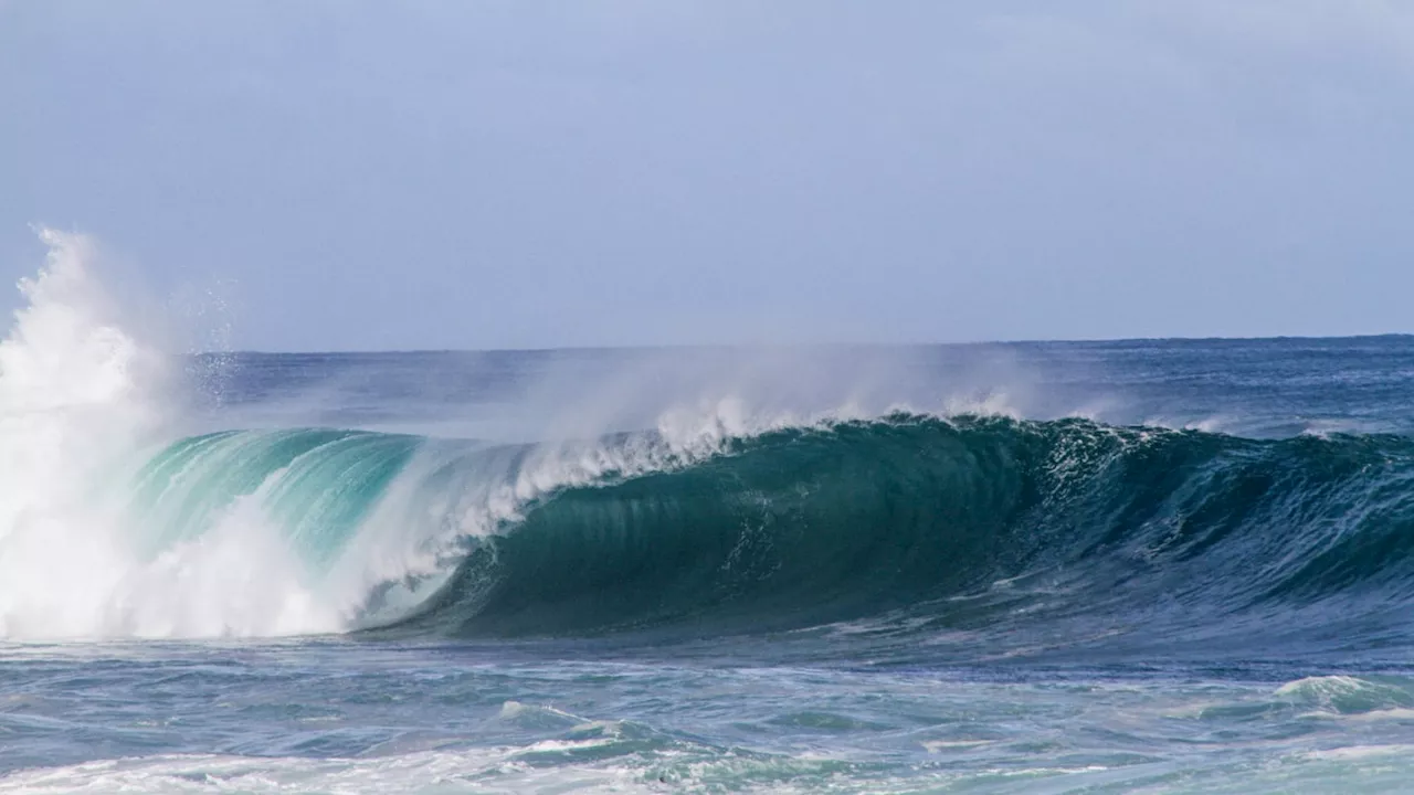 Watch: World Surf League Qualifying Series 1,000 Caraibos Lacanau Pro Champions