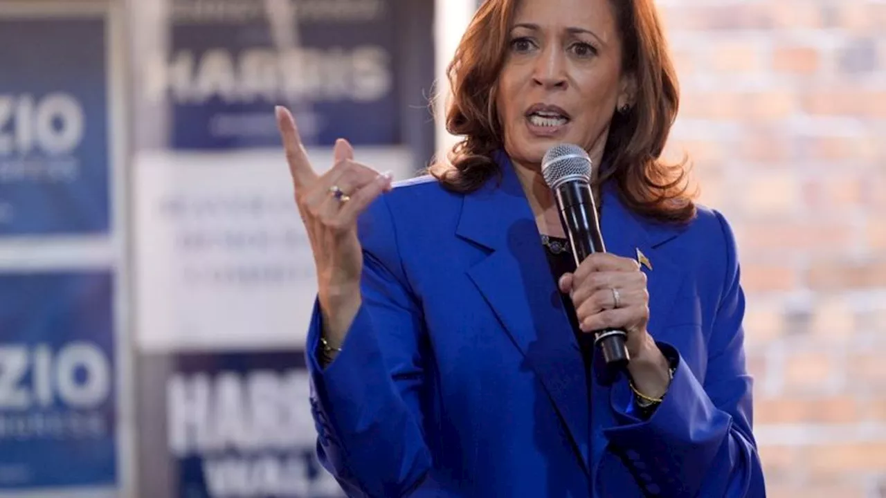 US-Wahlkampf: Harris: 'Wer andere Menschen niedermacht, ist ein Feigling'