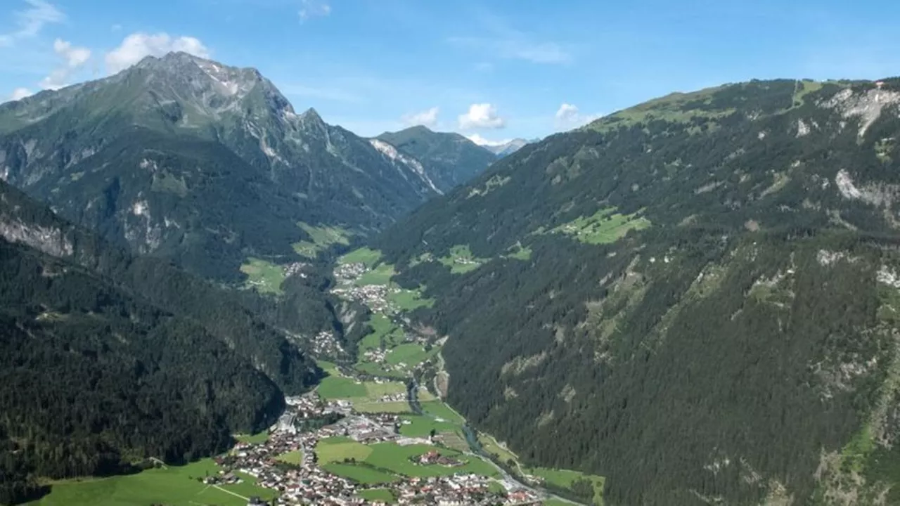 Wespen-Notfall: 15 Wespenstiche: Rettungseinsatz für Deutsche in Tirol