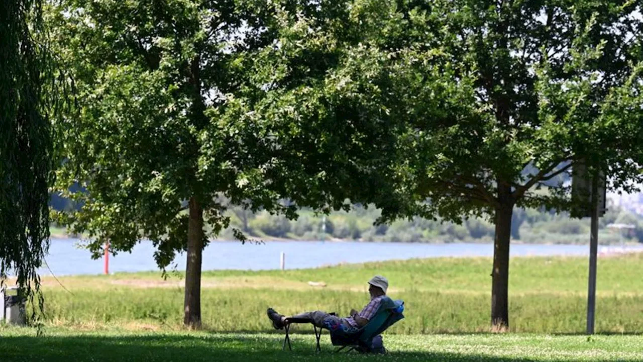 Wetter in Deutschland: Achterbahnsommer dauert an - Ab Montag erst einmal sonnig