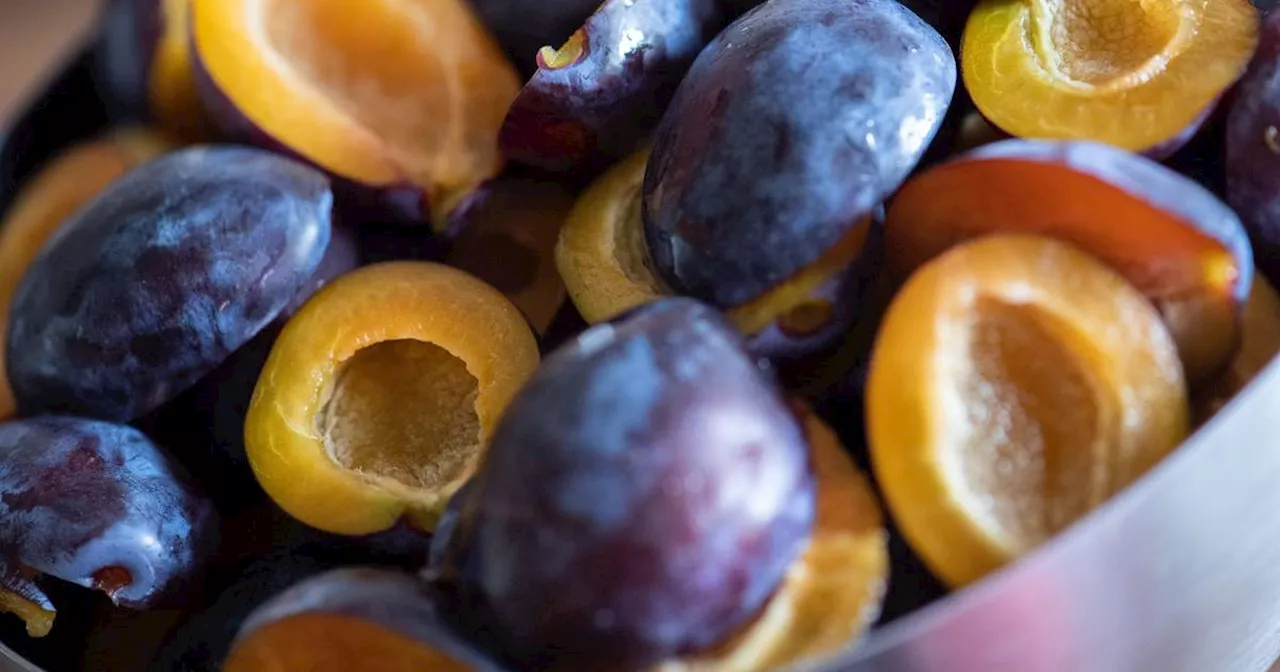 Jetzt wird's violett: Backen mit Zwetschgen und Pflaumen