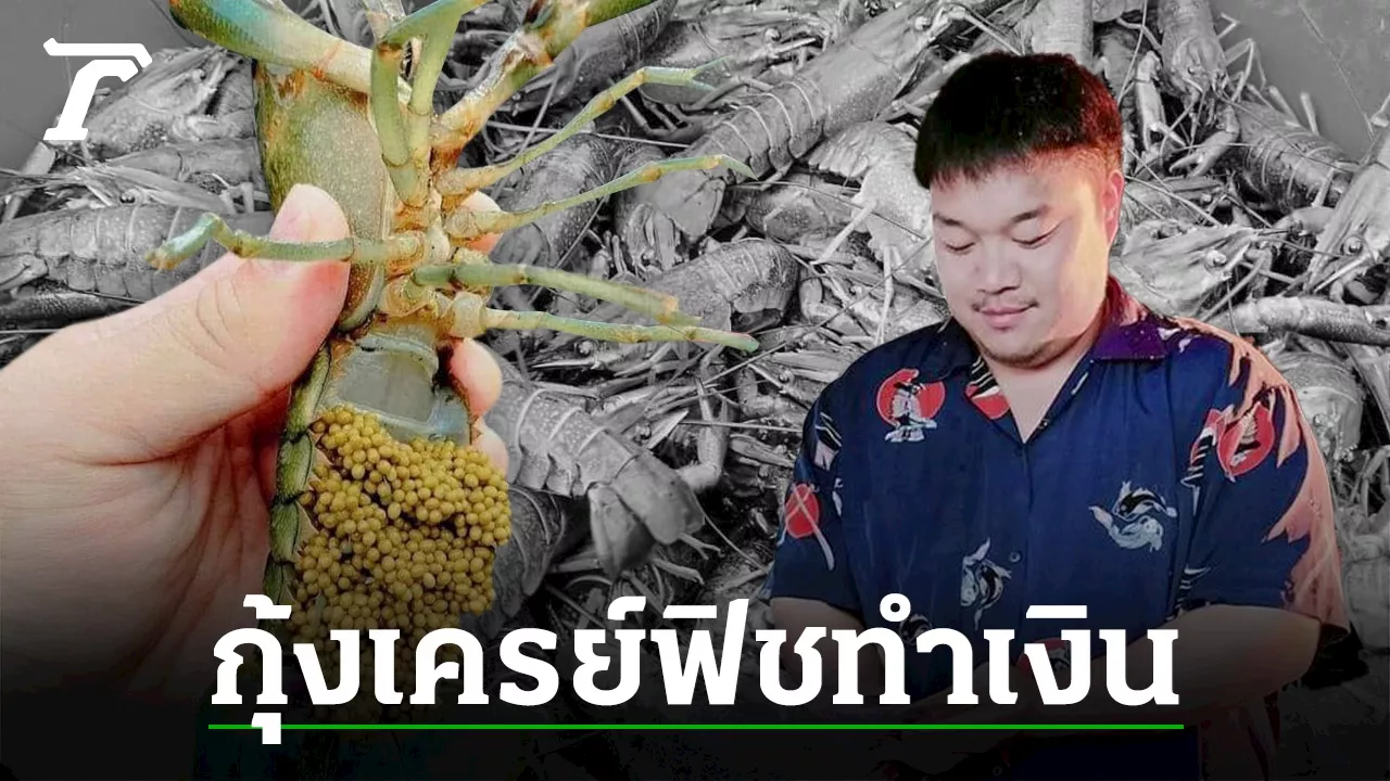 หนุ่ม 31 รวยด้วยกุ้งเครย์ฟิช รายได้ 6 หลัก 1 เดือนทำงานแค่ 10 วัน