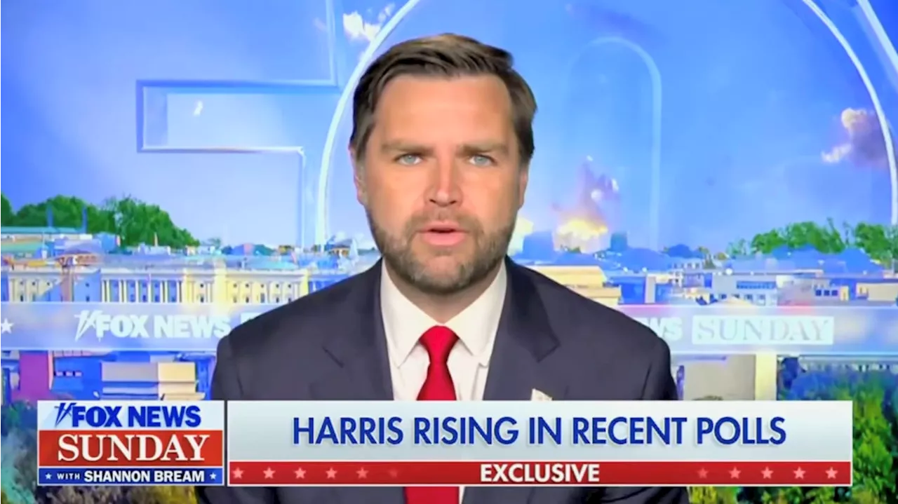 JD Vance Compares Kamala Harris to Jeffrey Epstein in Fox News Interview