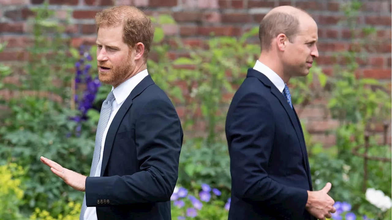 Prince William Does Not Want Prince Harry at His Coronation: Report