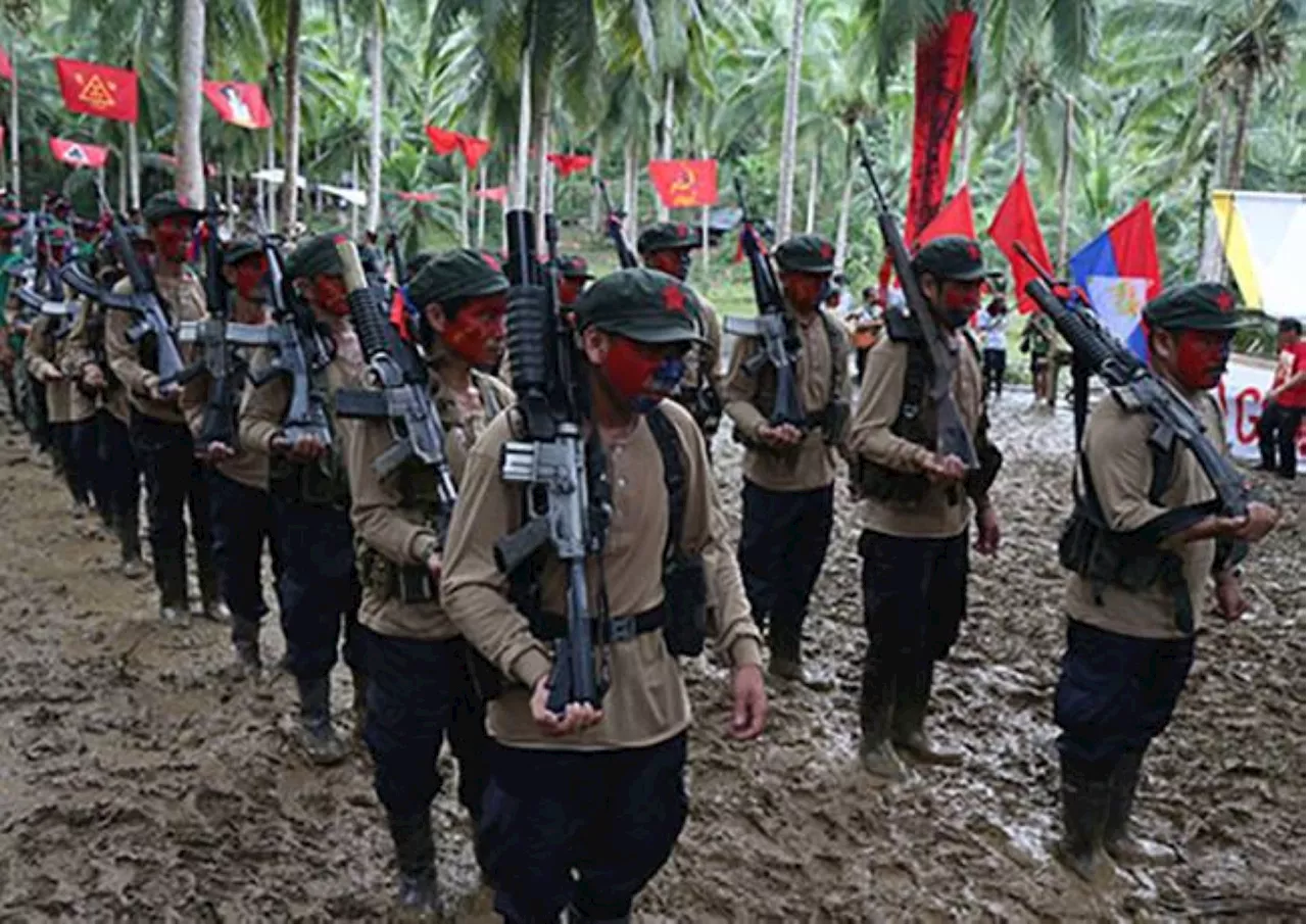 PH Army declares end of communist insurgency in Panay