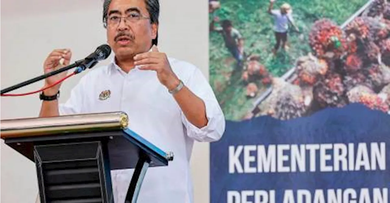 Tiada lagi kawasan baharu tanaman sawit dalam hutan