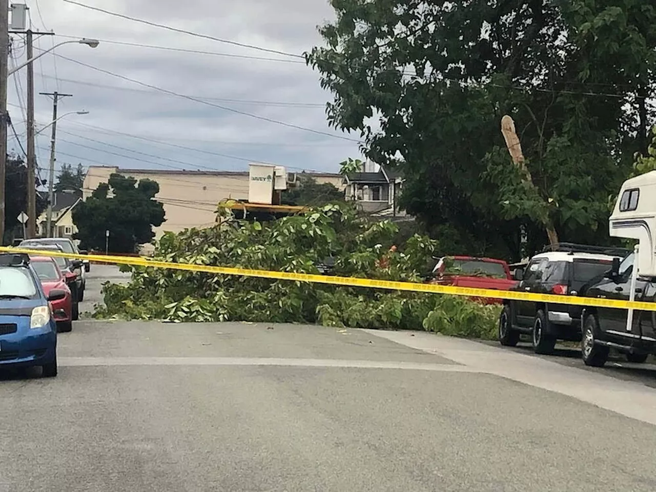 Wild weather knocks out power to thousands across Metro Vancouver