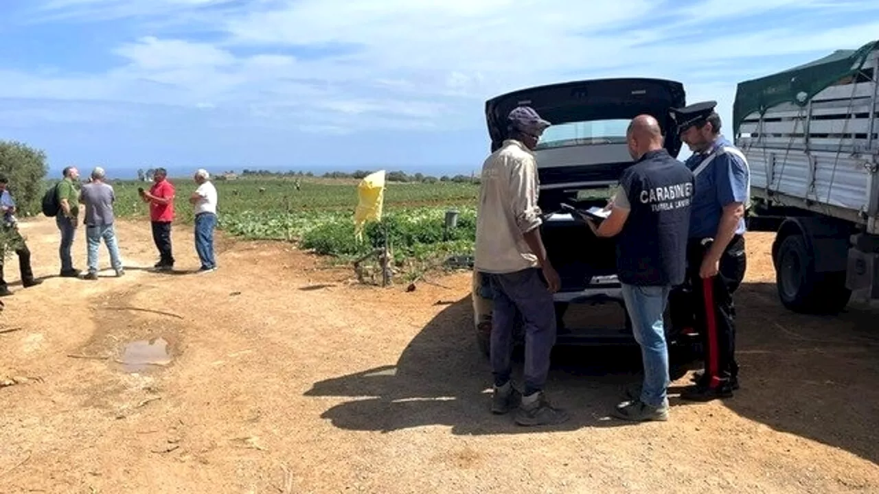 Bracciante muore mentre lavora nei campi: stroncato da caldo e fatica