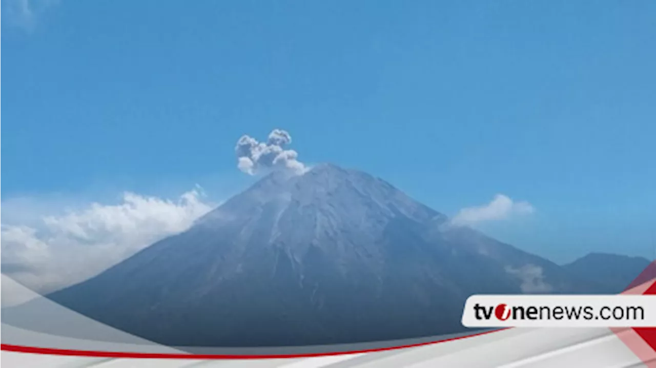 Minggu Siang, Letusan Erupsi Gunung Semeru Capai 700 Meter