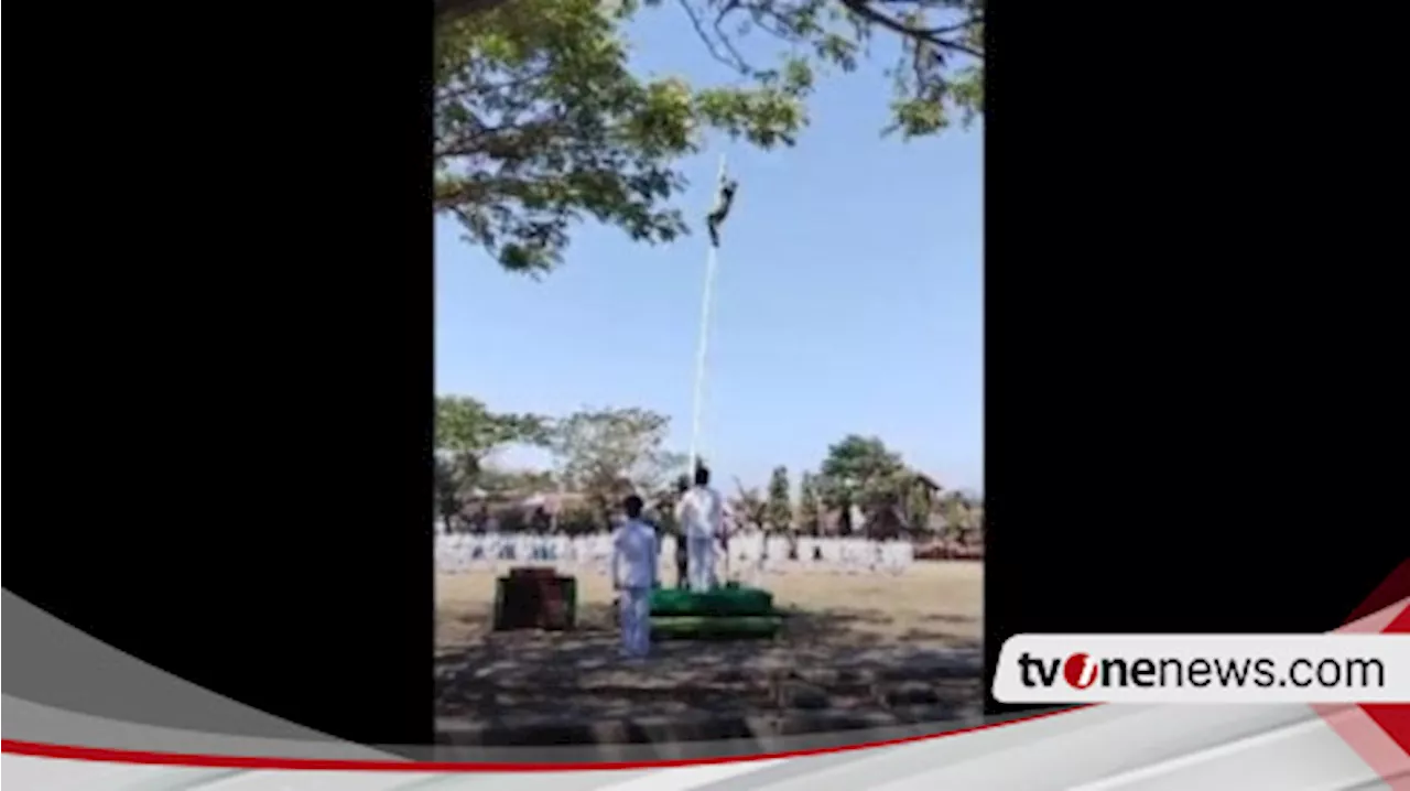 Viral! Aksi Heroik Anggota Babinsa Pajat Tiang Bendera