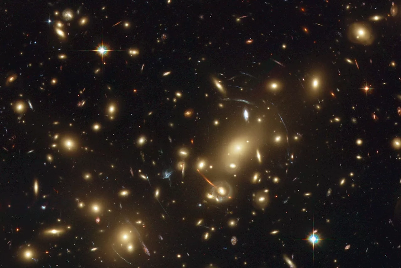 Galaxies in Dense Environments Get Larger