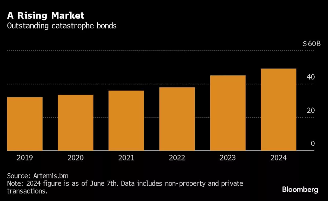 The Huge Profits Investors Have Made on Catastrophe Bonds Are Raising Eyebrows