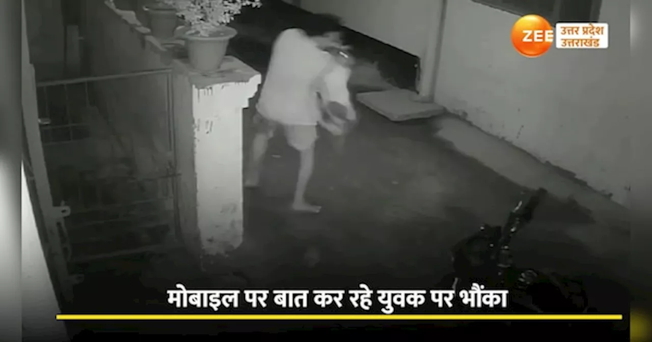 VIDEO: खूंखार कुत्ते ने युवक का मुंह नोचा, टाइगर की तरह छलांग मारकर चेहरा बिगाड़ा