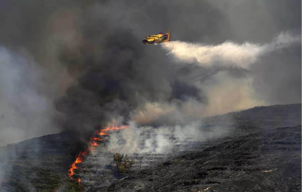 Incendies dans l’Hérault : Le ministre de l’Intérieur sur place ce lundi