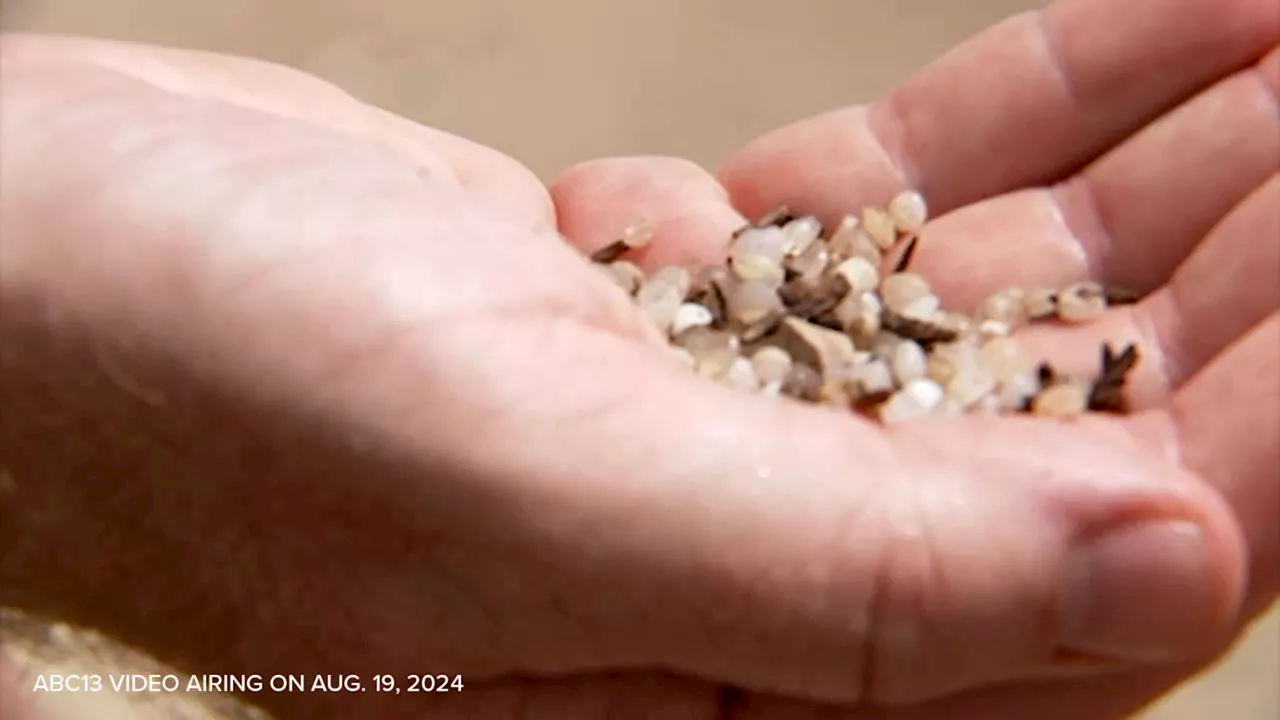 Plastic pellet pollution is in Galveston Bay and likely accidental, nonprofit says