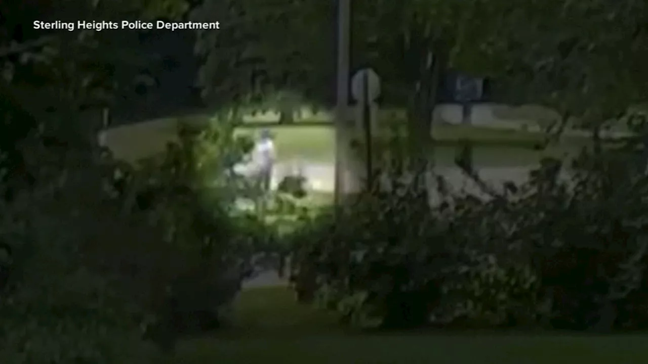 Man arrested after 2 child abductions thwarted by good Samaritans in Michigan: VIDEO