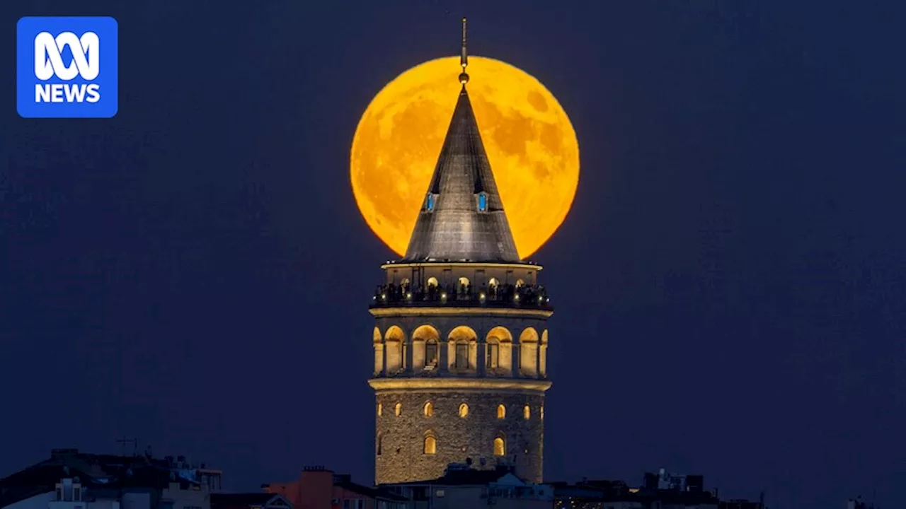 'Blue' sturgeon supermoon lights up the night skies and delights stargazers across the world