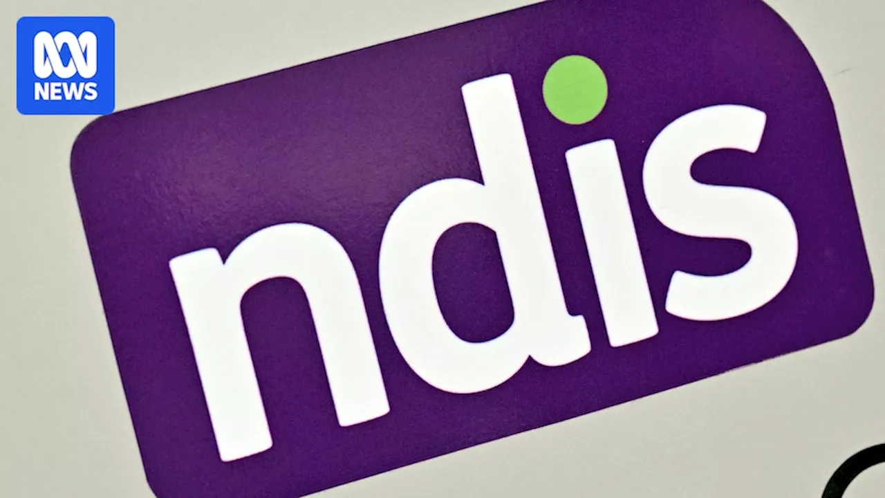 NDIS participants could be made to pay cost of mandatory 'needs' assessment