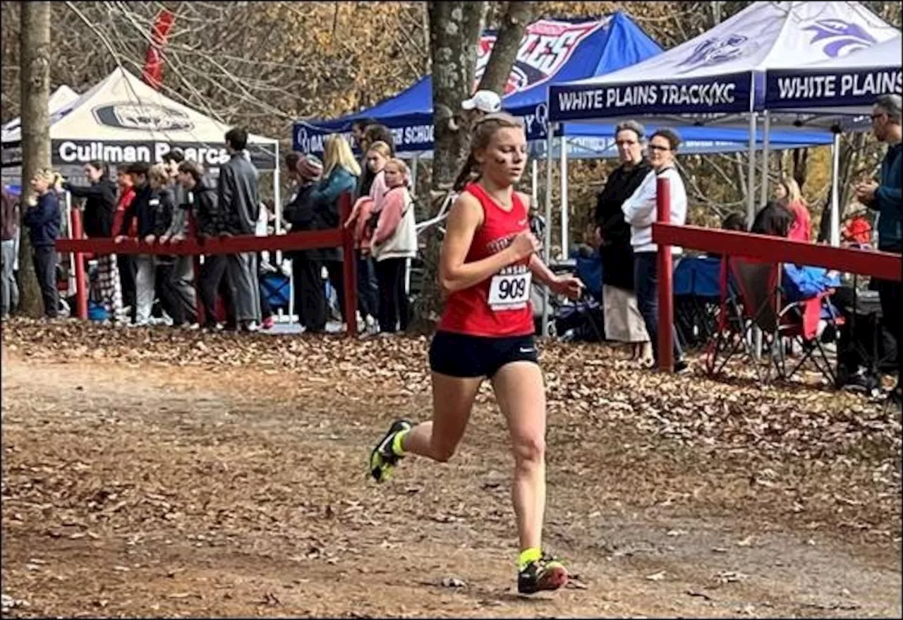 AHSAA cross country: 4 girls state champs are back to run for the top again