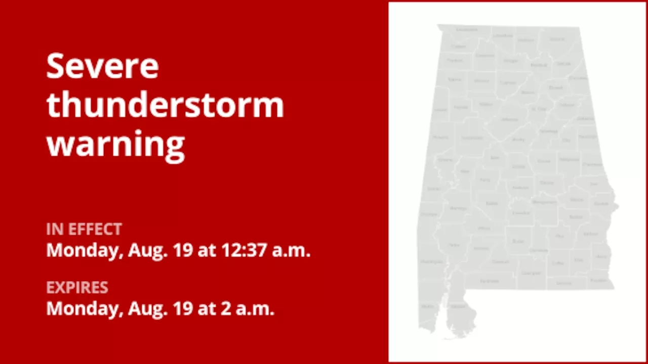 Thunderstorms with damaging winds in Geneva County Monday