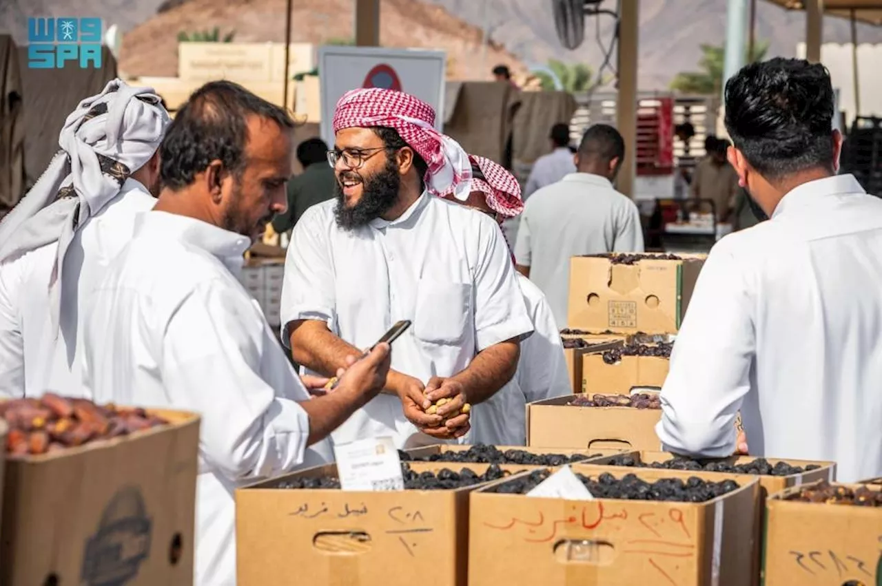 انطلاق مزادات موسم تمور المدينة