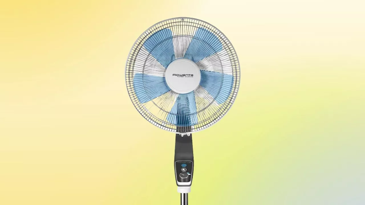 Ce ventilateur sur pied est l’offre du jour mise en avant sur le site Amazon