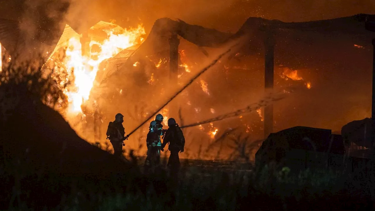 Brand bei Dresden: Bauernhof in Radeberg in Flammen! Hunderte Tiere gerettet