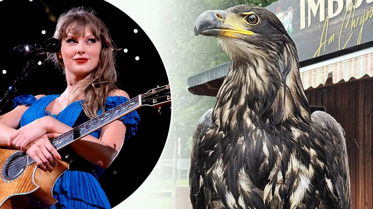 Taylor Swift ist weg! Doch es geht nicht um die Sängerin