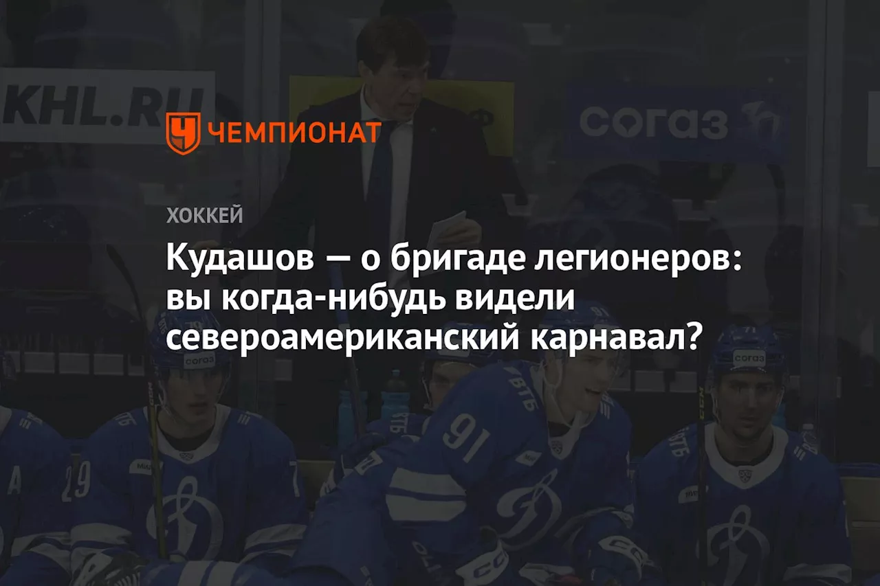 Кудашов — о бригаде легионеров: вы когда-нибудь видели североамериканский карнавал?