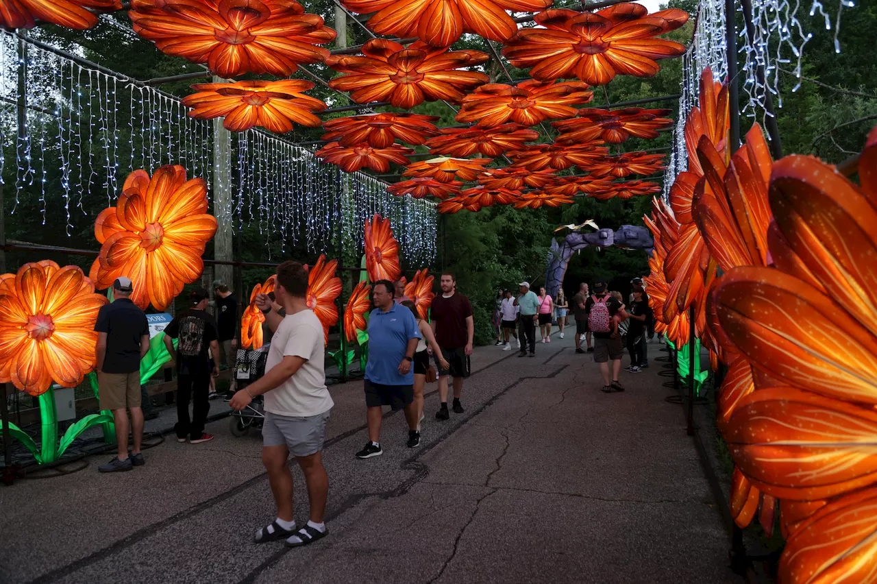 Cleveland Metroparks Zoo extends Asian Lantern Festival into September