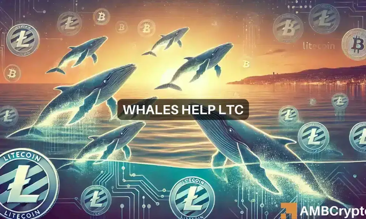 Whales help Litecoin surge 10.32% – Will LTC rally another 40%?