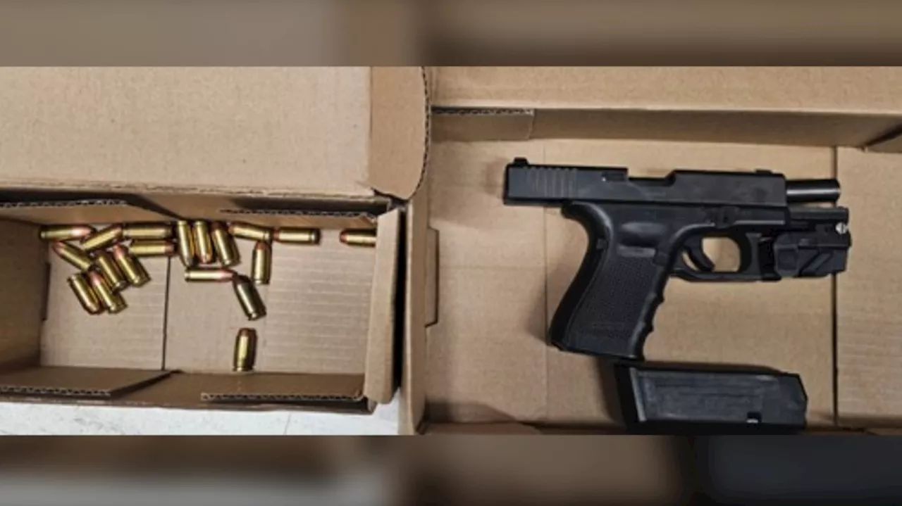 Teen charged after Toronto police seize loaded gun, ammunition in North York