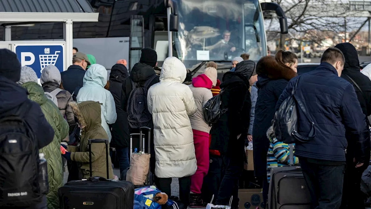 Svar: Öppna socialförsäkringssystemet för alla ukrainska flyktingar