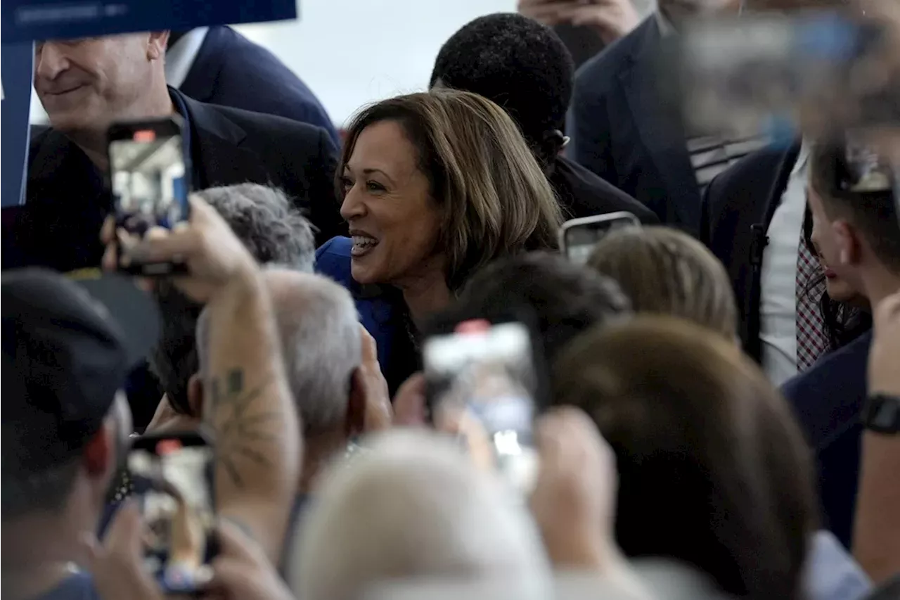 Axelrod warns Harris needs ‘energetic action’ to turn Democratic enthusiasm into a win