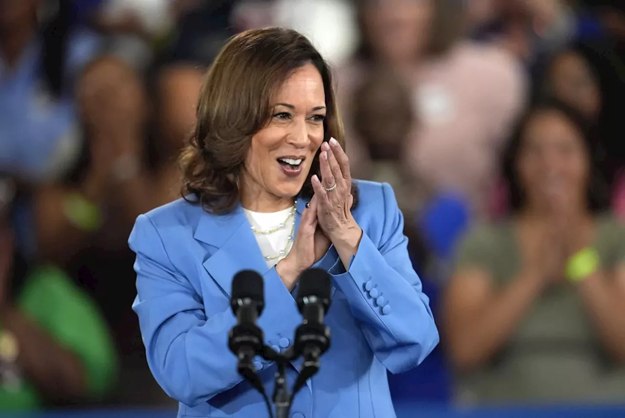 Sens. Johnson and Scott blast ‘socialist’ Kamala Harris and DNC ‘coup’ against Biden