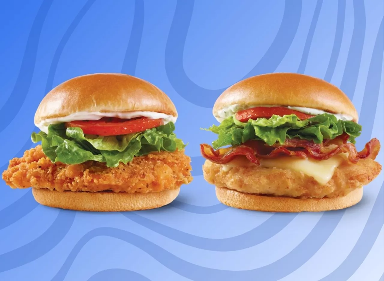 Every Wendy's Chicken Sandwich, Tasted & Ranked For 2024