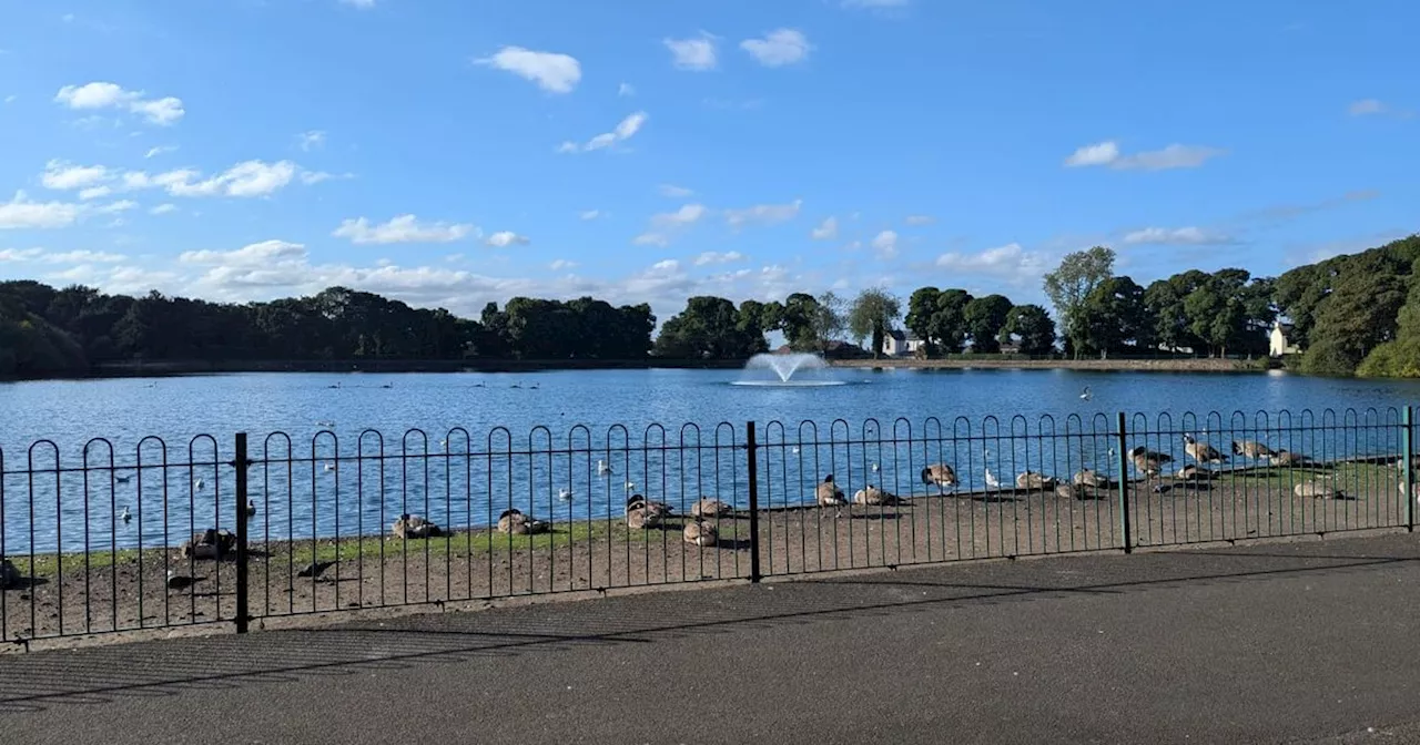 Merseyside park with stunning lake walk, panoramic hill-top views and play area