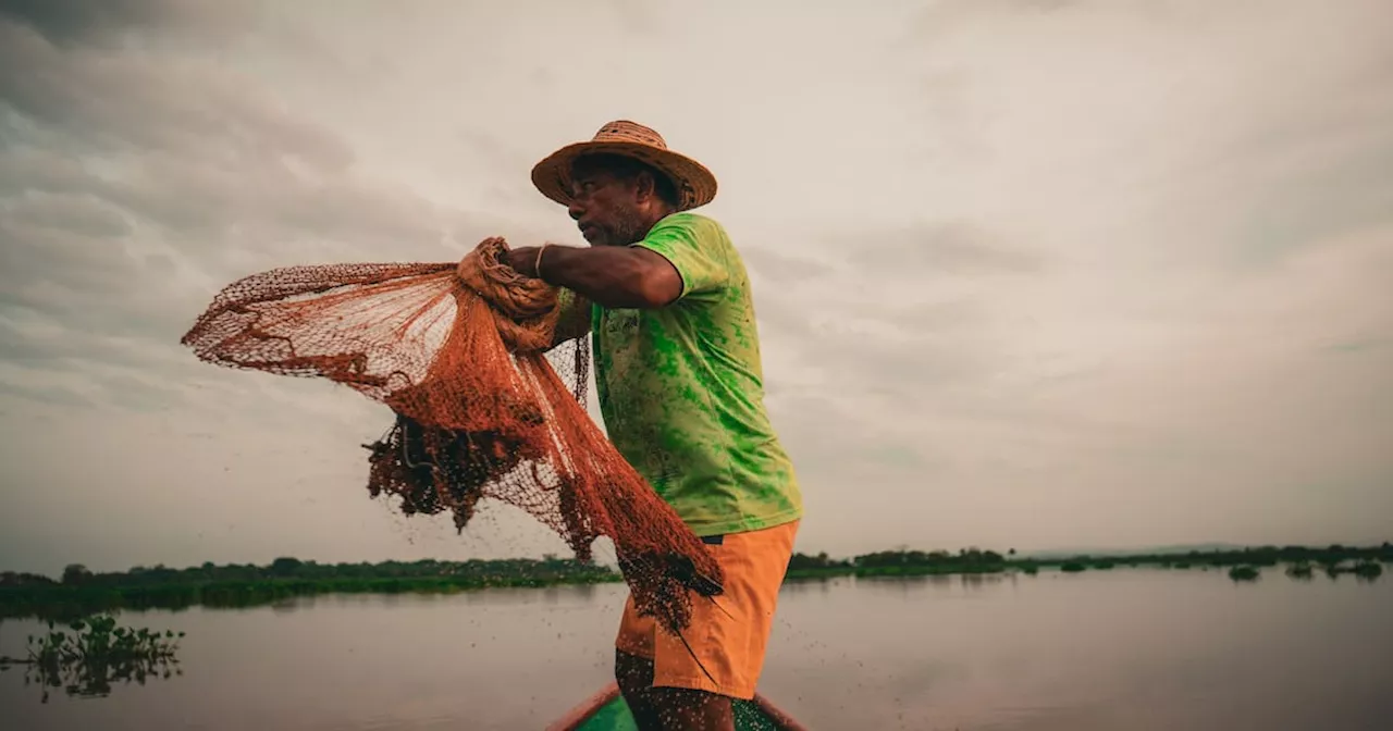 La Aunap entrega dotación a pescadores artesanales de Córdoba y Zambrano, en Bolívar