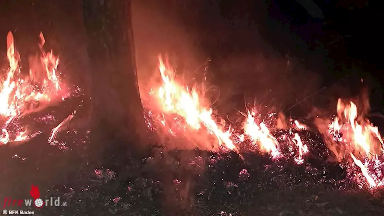 Nö: Blitzschlag sorgt für Waldbrand und stundenlangen Löscheinsatz durch 10 Feuerwehren in Gainfarn