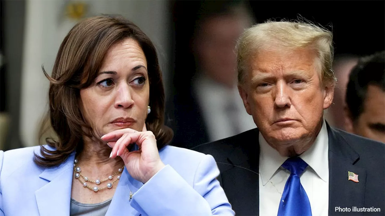 Trump to visit southern border in Arizona, blames crisis on 'Czar' Kamala Harris