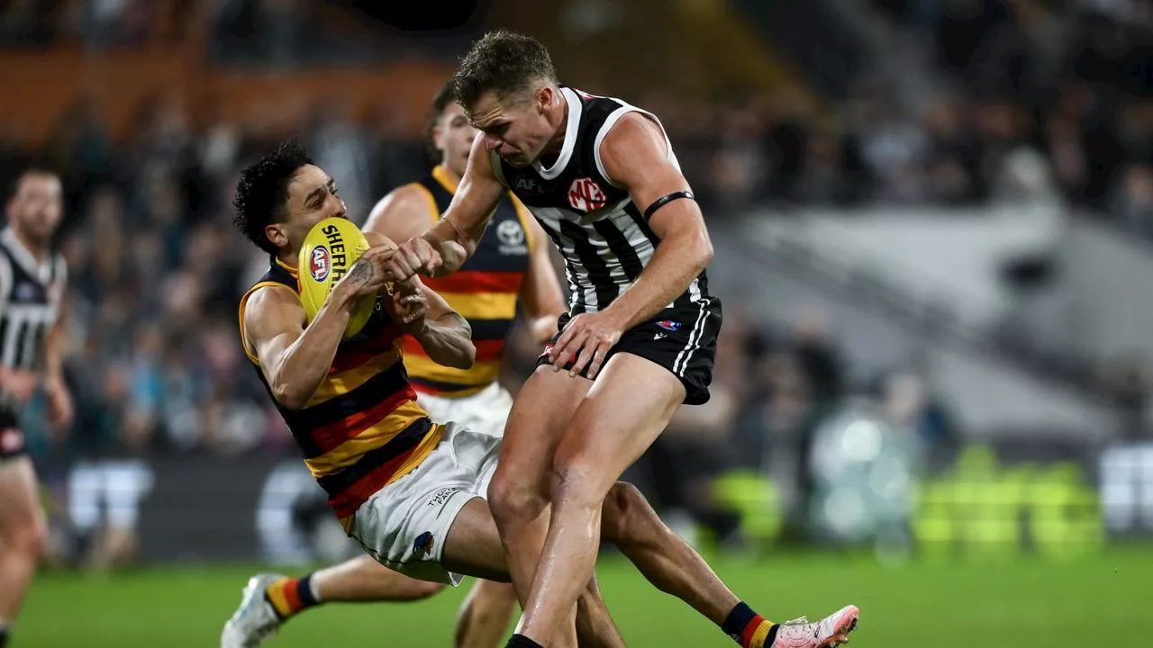 ‘Change the rules’: Calls for AFL to introduce NRL-style send-off rule amid Showdown controversy