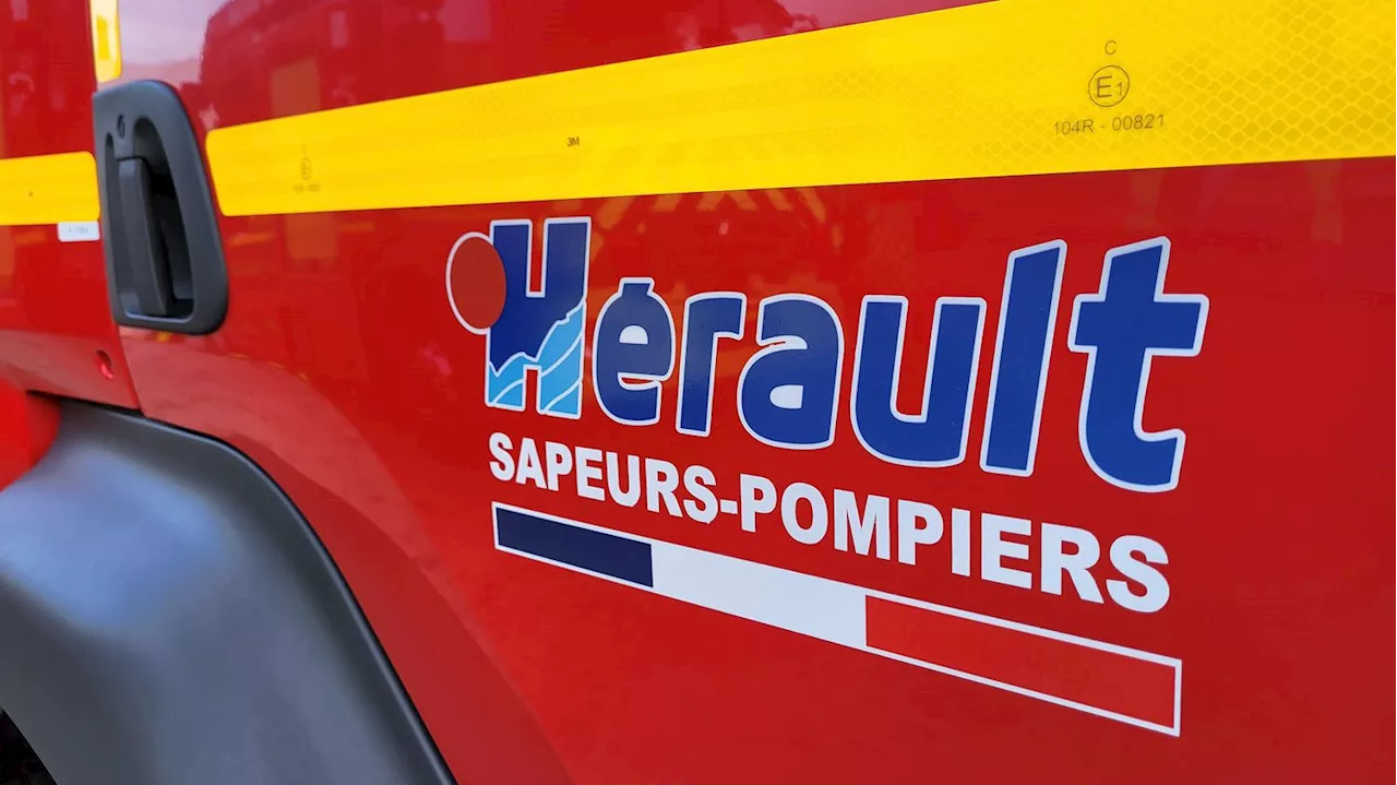 L'incendie entre Gigean et Frontignan dans l'Hérault est fixé, 320 hectares parcourus