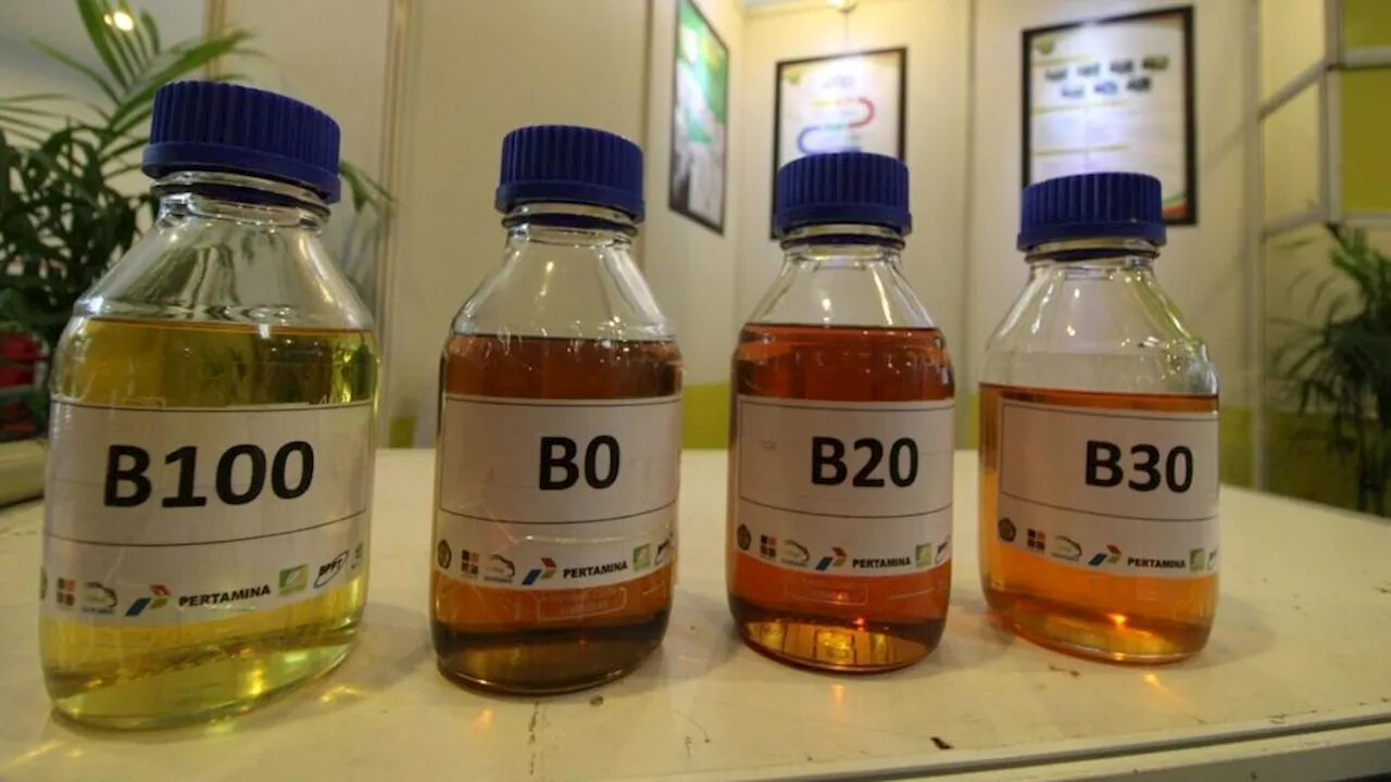 Jhonlin Agro Raya Mulai Olah Sawit Jadi Biodiesel B-50