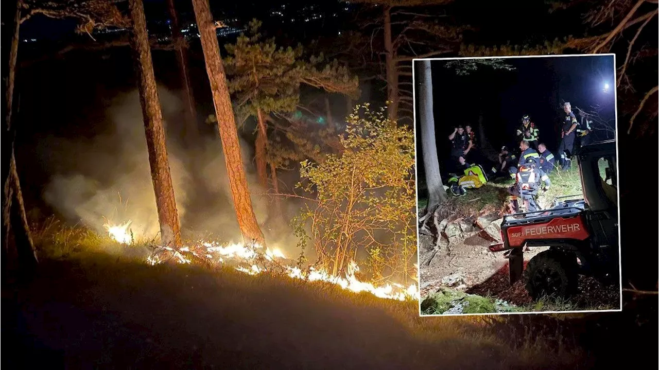 Blitz schlägt in Baum ein – 160 Florianis im Einsatz