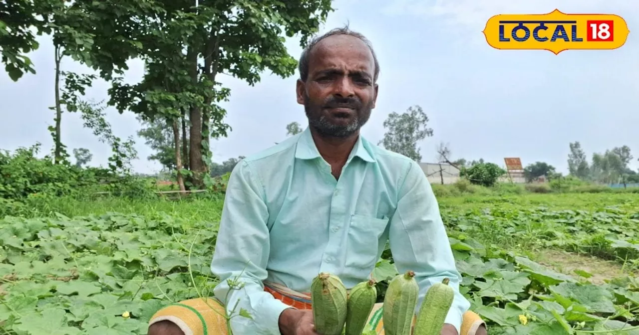 किसानों के लिए फायदे का सौदा है ये खेती, कम समय में खुल जाएगी किस्मत; बस इन बातों का रखें ध्यान