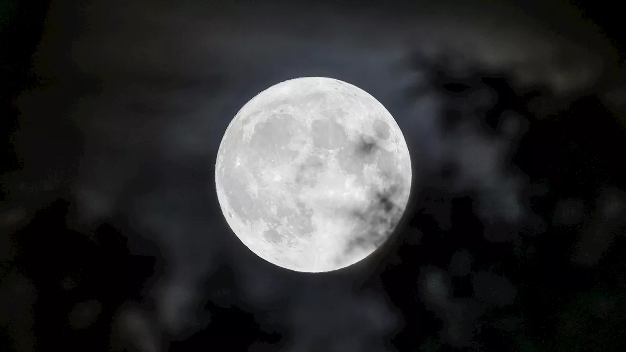 Superluna o Luna azul: el espectáculo que podrás ver este lunes