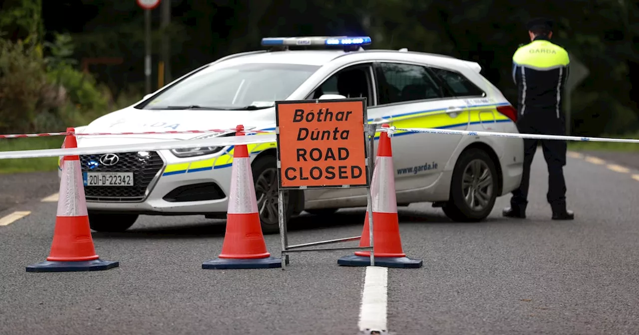 Man dies after car and truck collide in Co Kildare