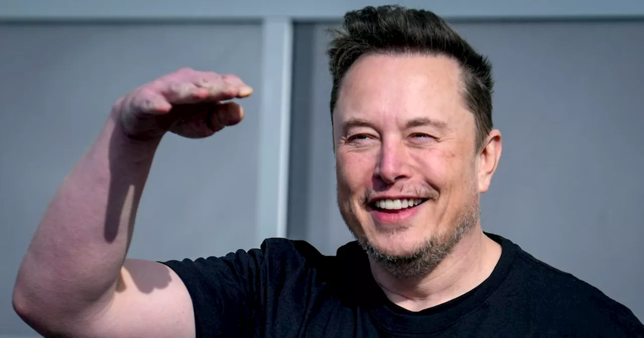 Who’s afraid of X owner Elon Musk?